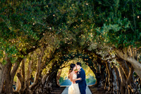 Rosanna + Justin | MOHI | Morgan Hill, CA