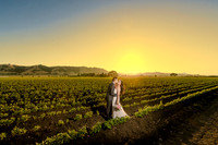 Trang + Bao | Fitz Place | San Martin, CA