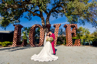 Cathy + Andrew | MOHI | Morgan Hill, CA