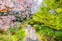 Chi + Rob | Hakone Garden | Saratoga, CA